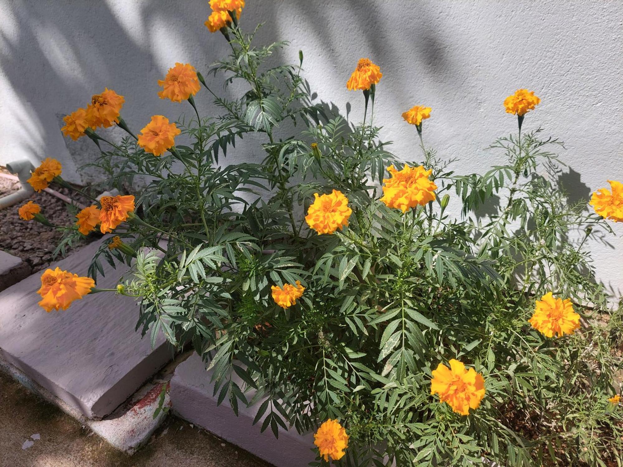 Au Cap Reef Hills Residence מראה חיצוני תמונה